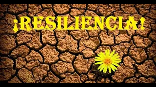 RESILIENCIA ¿Que es? El DOLOR es INEVITABLE, el SUFRIMIENTO es OPCIONAL. 2020.