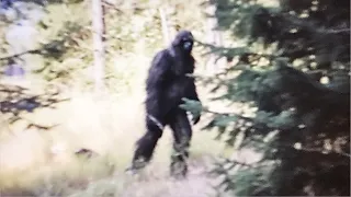 This Man Was Able To Capture The Clearest Images Of Bigfoot Ever Taken