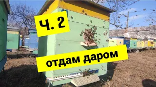 И опять о холстиках, контрольный улей, сколько съели меда???????