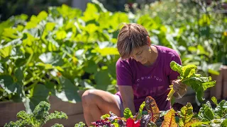 An Urban Gardener’s Five Steps to Start a Vegetable Garden at Home