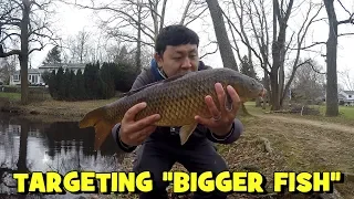 Y'all Wanted "BIGGER FISH..." So There you go...