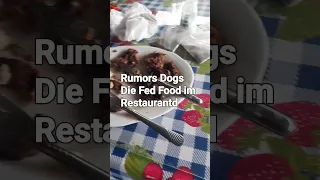 Rumors Dogs Die When Customer Fred Them in Restaurants. Causes Fighting