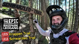 Enduro Singletrails im Bikepark Leogang | Schwarzleo & Knappen Trail | Specialized Stumpjumper Evo