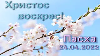 Пасхальное Богослужение || 24.04.2022