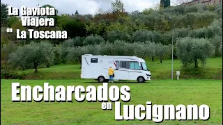 La Gaviota Viajera #107: La Toscana, encharcados en Lucignano. Capítulo octavo