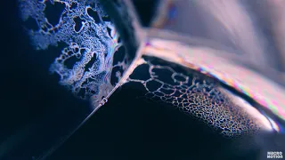 4K Macro Video Soap Bubbles / Макро Видео Мыльные Пузыри