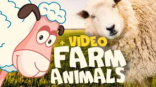 Farm animals for kids - Vocabulary for kids || Learn English