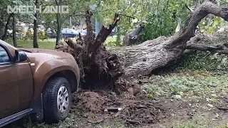 Жесть на СТО. #31. Клиенту крупно повезло! Приколы на СТО!