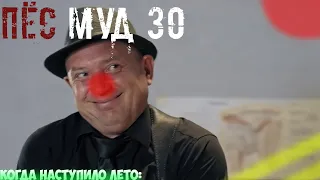 ПЁС муд 30