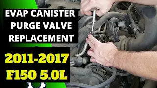 EVAP Canister Purge Valve Replacement 2011-2017 F150 5.0L