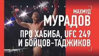 Махмуд Мурадов - про Хабиба, UFC 249, настоящего Мейвезера и ярость таджикских бойцов