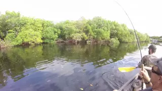 Fly Fishing For Tarpon In A Kayak In Fort Myers