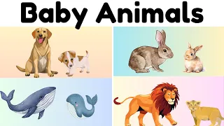 ANIMALS and their BABIES | Do you know the names of the young ones