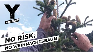 Menschen klettern auf 40 Meter hohe Tannen für unsere Weihnachtsbäume