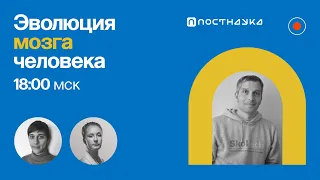 Эволюция мозга человека/ Филипп Хайтович в Рубке ПостНауки