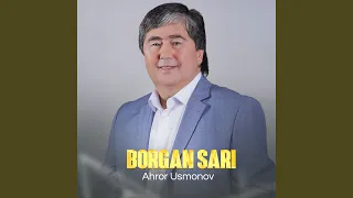 Borgan sari