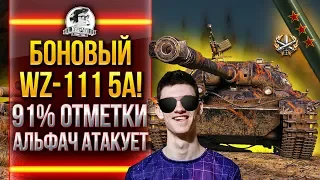 БОНОВЫЙ WZ-111 5A - 91% 3 ОТМЕТКИ! АЛЬФАЧ АТАКУЕТ