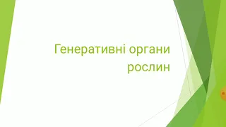 Генеративні органи рослин