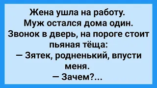 Пьяная Теща Пришла к Зятю! Сборник Свежих Анекдотов! Юмор!