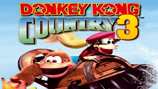 DONKEY KONG COUNTRY 3 (Super Nintendo) ATÉ ZERAR