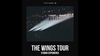 Stigma (Wings Tour Version)