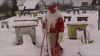 ПОЗДРАВЛЕНИЕ С НАСТУПАЮЩИМ НОВЫМ ГОДОМ ОТ МИХАЛЫЧА