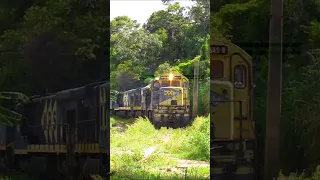 Trem Passando no Bairro Nova Gameleira em Belo Horizonte/MG