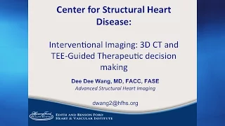 Interventional Imaging: 3D CT and TEE-Guided Therapeutic decision making