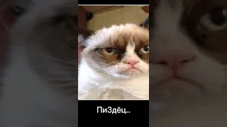 телефонный разговор тик ток