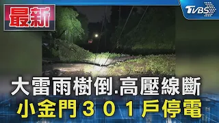 大雷雨樹倒.高壓線斷 小金門３０１戶停電｜TVBS新聞 @TVBSNEWS01