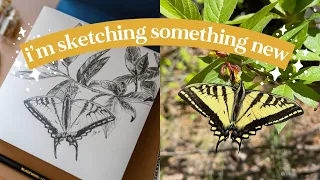 my first butterfly sketch | pencil drawing techniques 🦋