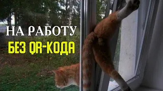 На РАБОТУ БЕЗ QR-КОДА