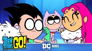 Teen Titans Go! | More Cats 😻Cats 😽Cats 😼| @dckids