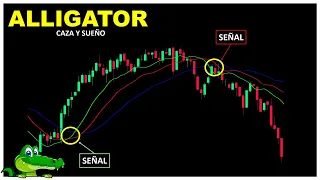 ALLIGATOR este indicador te muestra las TENDENCIAS || + Acción del Precio | Binary Teach