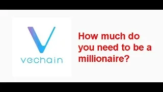 VeChain Millionaire next bullrun? How much Vechain do you need?