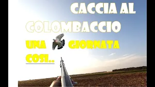 🇮🇹CACCIA: CACCIA AL COLOMBACCIO- UNA GIORNATA COSI. -WOODPIGEON HUNTING-ULTRA HD -4K🆨
