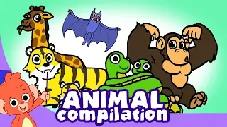 Learn Animals for Kids | Zoo Animal Cartoon Compilation for Children |  Safari Cartoon Cartoons