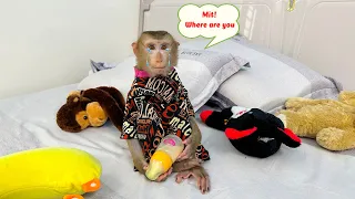 Monkey Kaka was sad when he couldn't find baby Monkey Mit