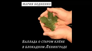 МАРИЯ БЕДНЕНКО. БАЛЛАДА О СТАРОМ КЛЁНЕ В БЛОКАДНОМ ЛЕНИНГРАДЕ