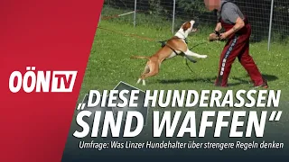 Was Hundehalter über strengere Regelungen denken