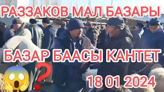 РАЗЗАКОВ ШААРЫНДАГЫ МАЛ БАЗАР 18 01 2024