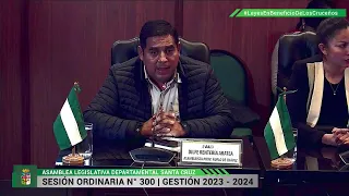 Desarrollo de la Sesión Nr. 300