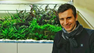MEET THE SCAPER - Co-Founder of World-Leading Aquascape Store