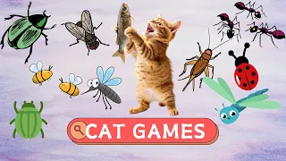 Cat Games - Fun Games, Balls, Strings, Mice, Butterflies - Cats Will Love It - CAT TV