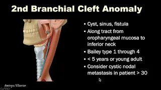 Pediatric Systemic Diseases Part1 Head and Neck Imaging ASHNR20 Session9