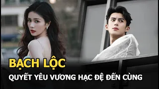 Bạch Lộc quyết yêu Vương Hạc Đệ đến cùng nhưng bị tình tin đồn của Dương Dương ngăn cản