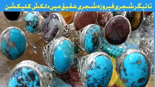 Tiger | Shajri Firoza | Shajri Aqeeq | Irani Aqeeq | Handmade Chandi Rings | New Collection | By WGS