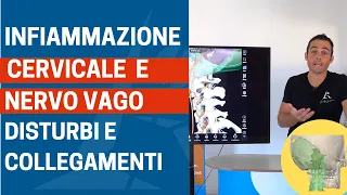 Quando l'INFIAMMAZIONE CERVICALE coinvolge il NERVO VAGO: ecco cosa succede (davvero)