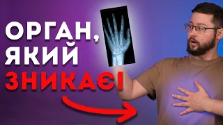 5 НЕЙМОВІРНИХ фактів про людське тіло! Клятий раціоналіст та @pidpilnahumanitarka