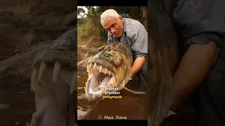 Goliath Tigerfish | Monster Sungai Paling Menakutkan #shorts